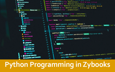 Python Programming in Zybooks