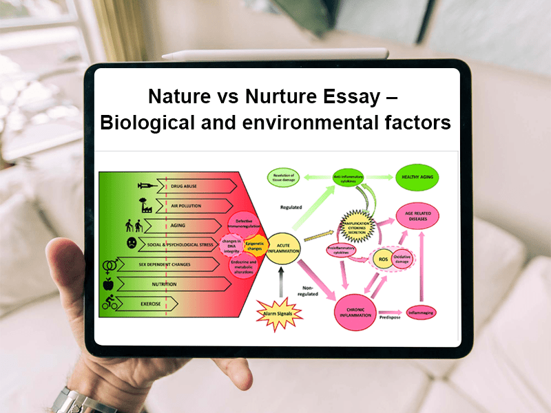 💌 Nature vs nurture intelligence essay. Nature vs Nurture in Intelligence Essay Example. 20221104