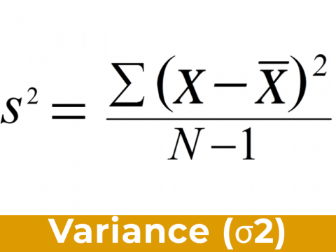 Parameter vs Statistic: Explore interesting facts & Examples