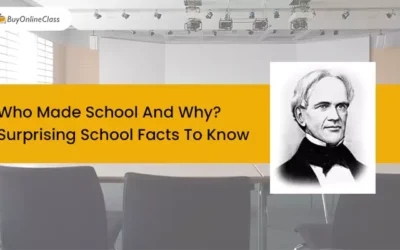 Who Made School And Why? Surprising School Facts To Know