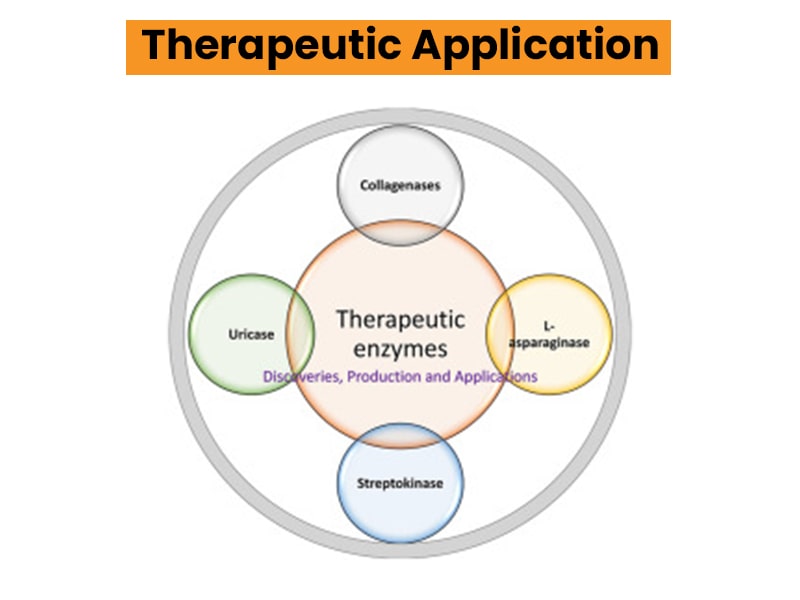 Therapeutic Application