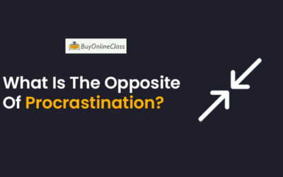 What Is The Opposite Of Procrastination?