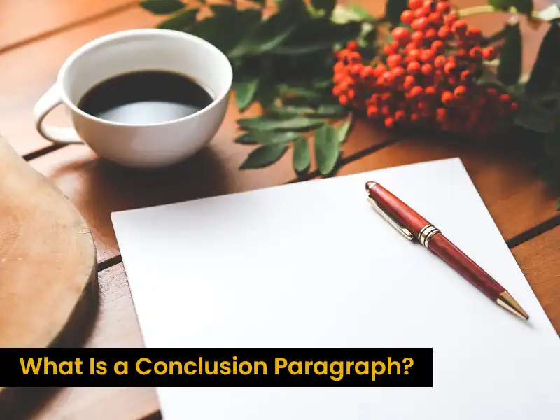 What Is a Conclusion Paragraph?