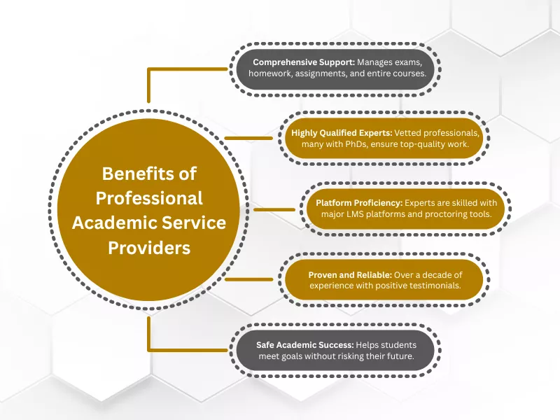 How Professional Academic Service Providers Can Help Students?<br />
