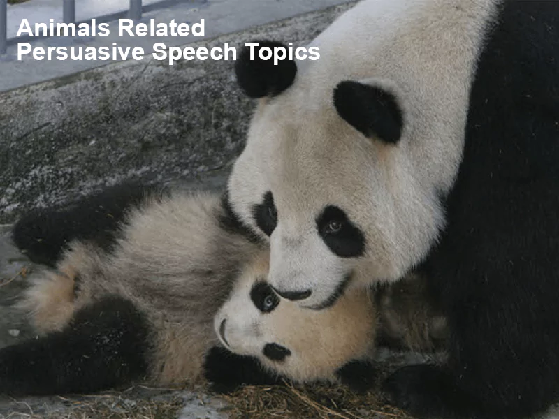Animals-Related Persuasive Speech Topics