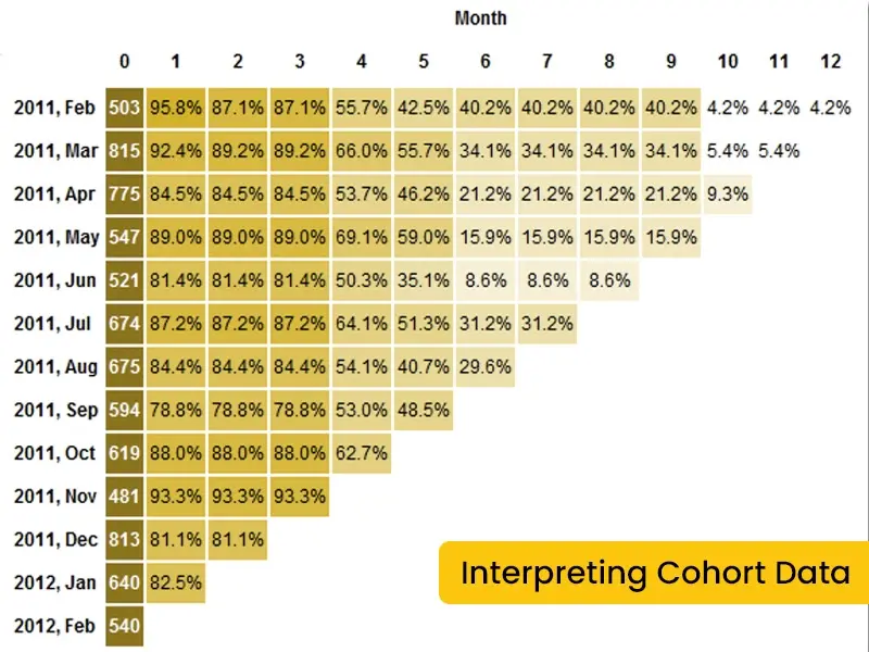 Interpreting Cohort Data