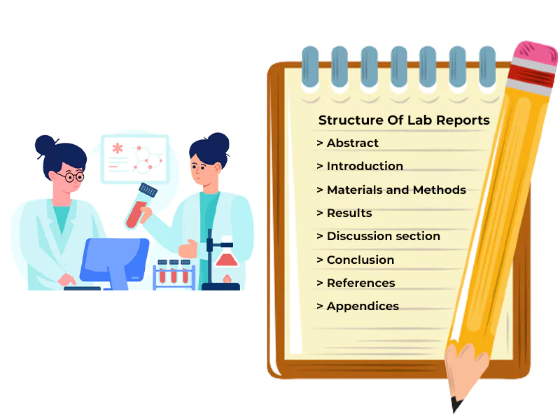 Structure Of Lab Reports