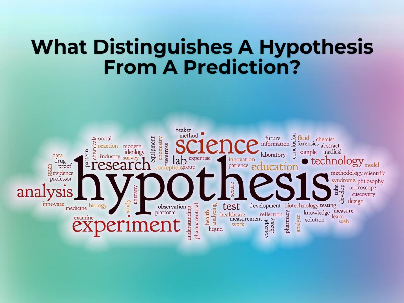 The doodle shows the word hypothesis in the middle and other words related to it and talks about what distinguishes a hypothesis from a prediction