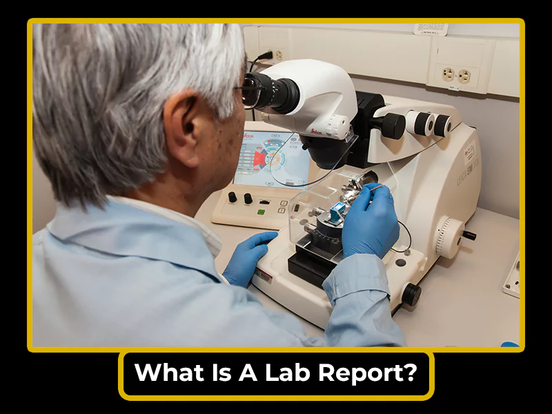 What is a Lab Report?