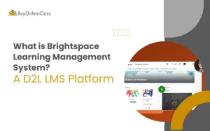 What is Brightspace Learning Management System?
