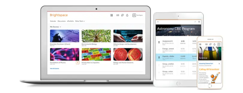 Brightspace shown across devices, including laptop, tablet, and phone for mobile-friendly learning access