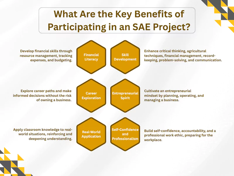 SAE Project Ideas infographic showing benefits like financial literacy, skill growth, and career exploration.