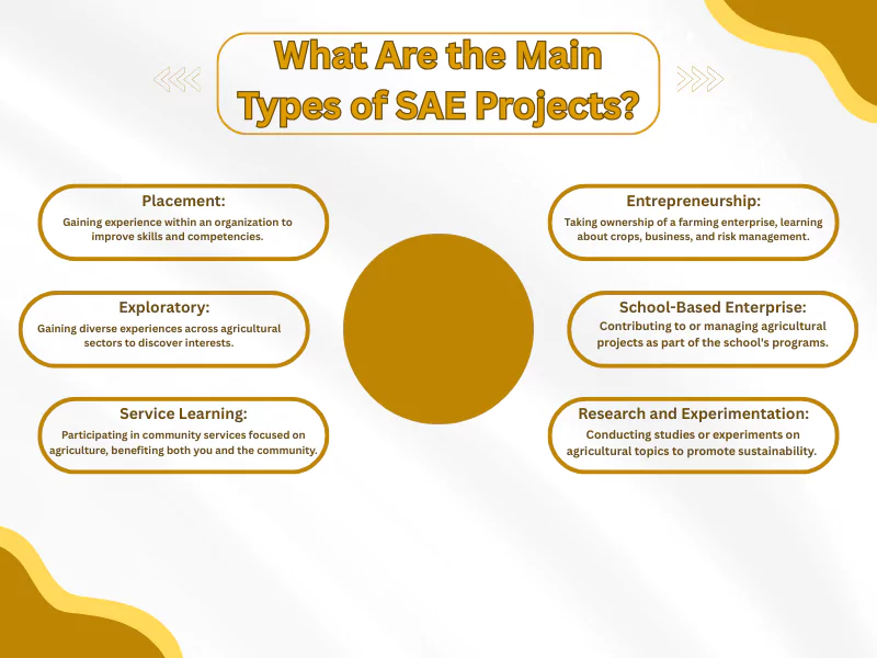 Main types of SAE Project Ideas, including placement, entrepreneurship, research, and service learning.<br />
