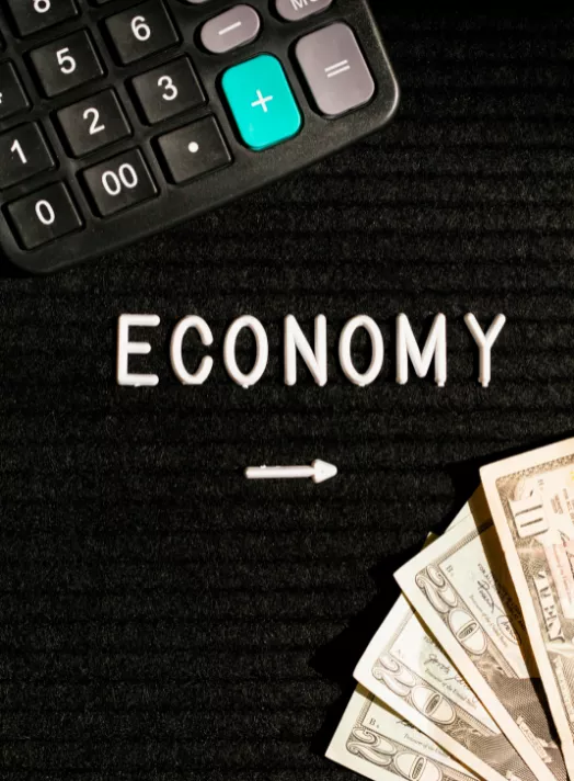 Get Expert Assistance with Online Economics Courses<br />
