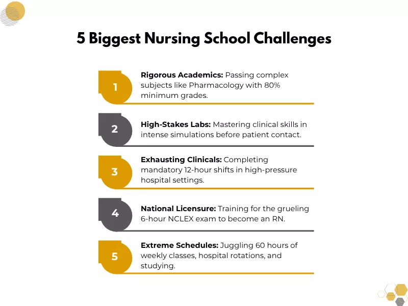 an infographic shows 5 aspects of nursing school that are the main reasons behind student challenges. 